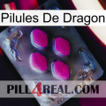 Dragon Pills 02
